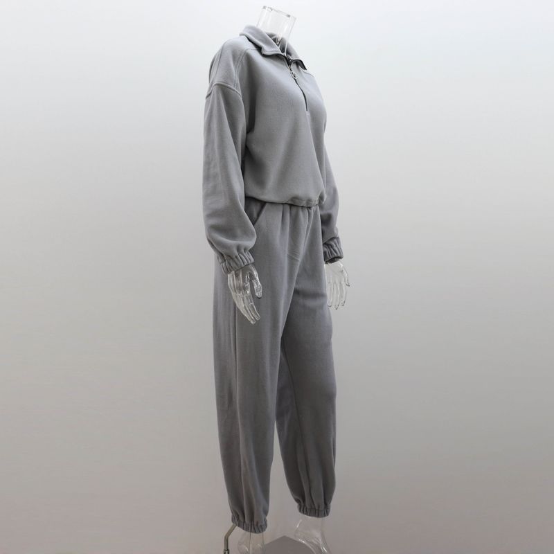 Abbigliamento da donna Felpa in pile polare Tuta Autunno e inverno Polo colletto Top Pantaloni casual Tuta due pezzi_voghion.com