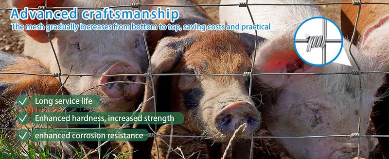 Farm Fence 4ft X 164ft 13Gauge Heavy Zinc Coating Cattle Fence,Galvanized Field Wire Fencing Deer Fence,Goat Fence,Hog Wire Fencing For Yard Livestock & Animals Protection_voghion.com