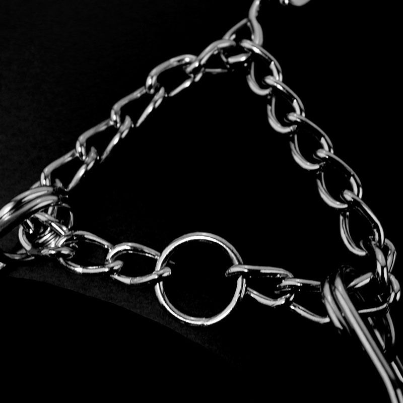 Akcesoria dla zwierząt domowych - chromowana smycz treningowa dla psów średniej i dużej wielkości, łańcuszek stymulujący P-Chain, obroża dla psa, szelki na szyję_voghion.com