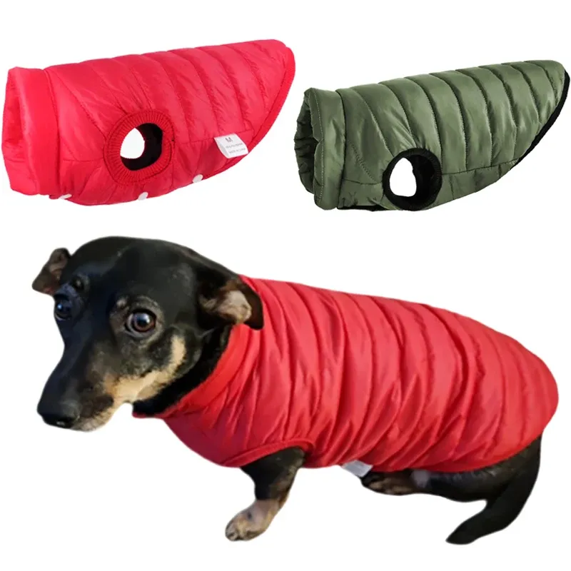 Warme winterkleding voor huisdieren, zachte puppyjas, hondenvest voor kleine honden, kittenjas, outfits voor chihuahua's, Franse bulldog, van PawParty Store_voghion.com