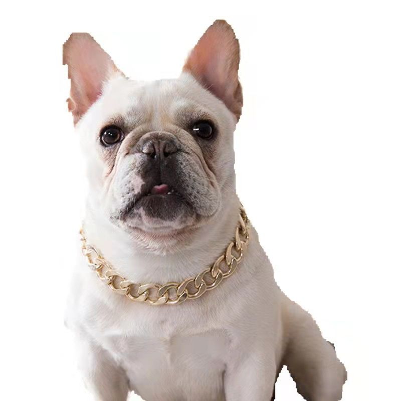 Gouden ketting voor middelgrote hond van PawParty Store_voghion.com