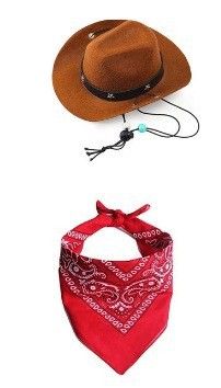 Ensemble de vêtements de cowboy et bavoir pour chien et chat de style western, chapeau à mentonnière pour animal de compagnie_voghion.com