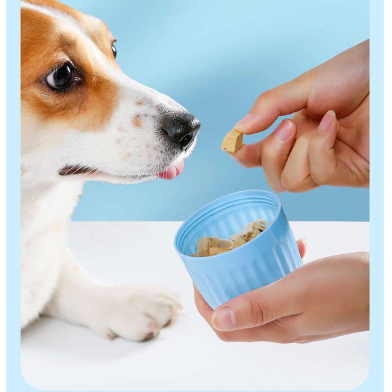 Pet 2-in-1 And Food Feeding Integrated Large Caacity High Temerature Resistant Water Pot Dog Rice Bowl Accomanying_voghion.com