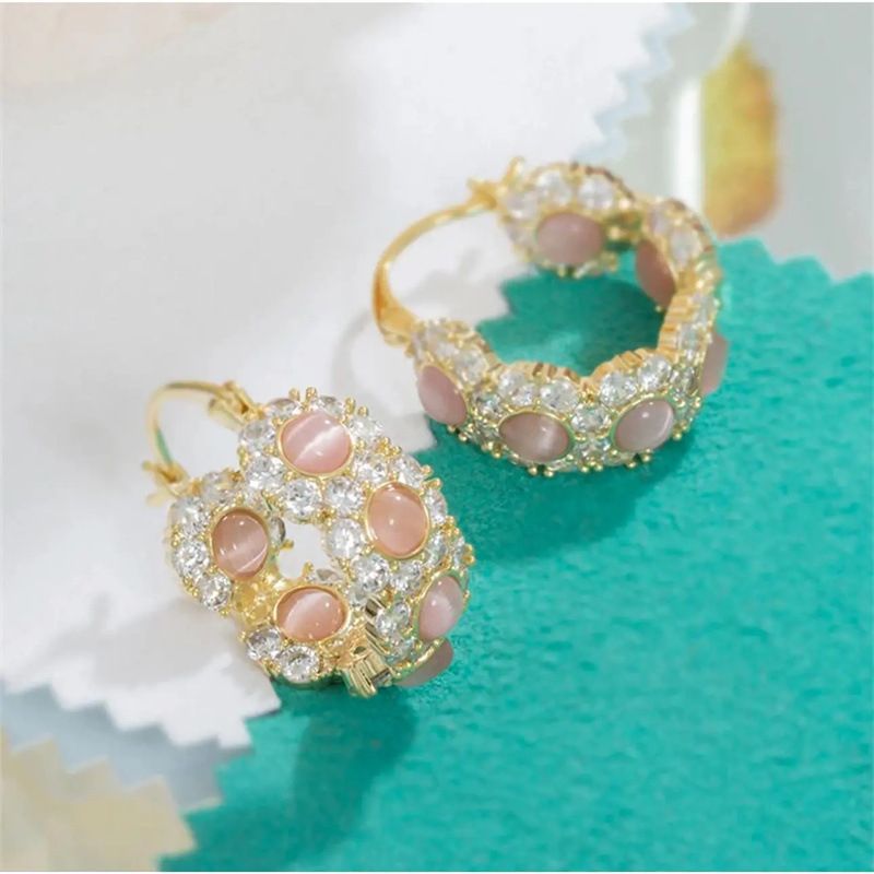 Niche Ins Water Orecchini di lusso con diamanti rosa Edizione coreana Temperamento squisito Stile con piccola fragranza_voghion.com