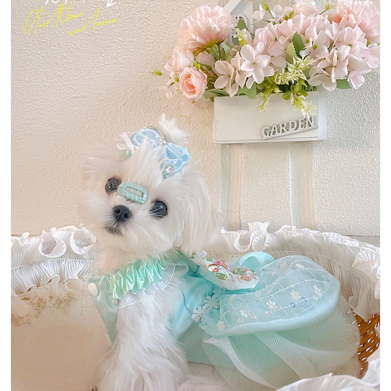Abito estivo con paillettes per cani di piccola taglia, stile principessa maltese, stile Yorkshire, stile Bichon_voghion.com