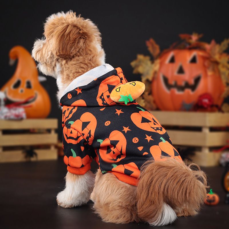 Felpa con cappuccio e zucca per animali domestici, carina e divertente, per Halloween, vestiti per cani di piccola taglia Bichon_voghion.com
