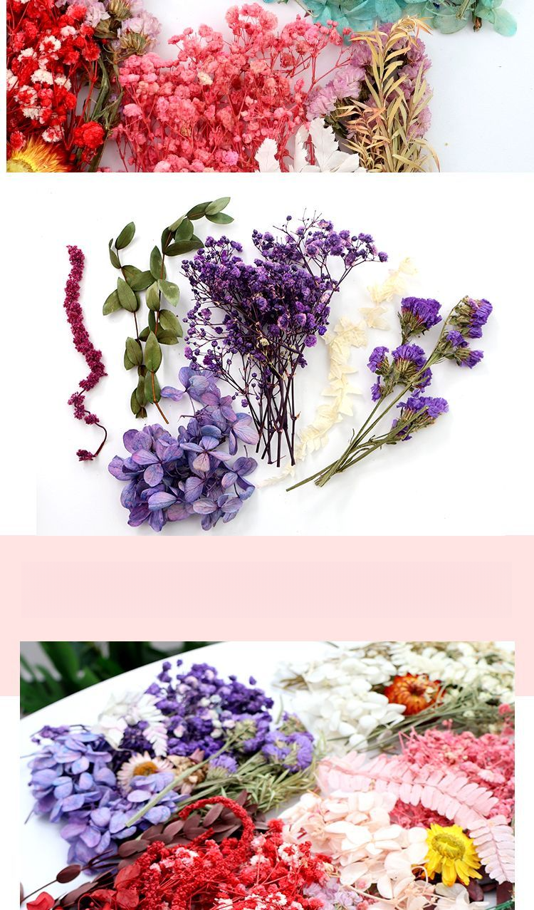 Konserviertes getrocknetes DIY-Material-Kit, echte natürliche luftgetrocknete Kerze, Fächerrahmen, Grußkarten-Dekoration, handgemachte Blume_voghion.com