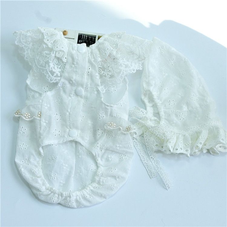 Koreaanse Ins-stijl huisdierkleding, hondenshirt met capuchon, teddybeer, bichon, yorkie, lente-zomer, holle kleding_voghion.com