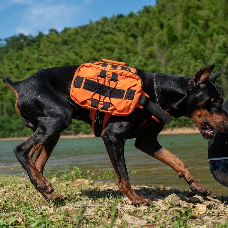 New Multifunctional Pet With Straps Large Pocket Backpack Dog Self-Backpack_voghion.com