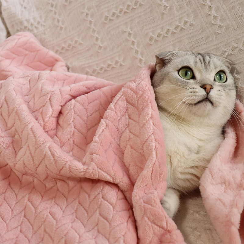 Weizenohr kleine Haustier Katze Nest Matte Hund Wärme Abdeckung Korallen Samt verdickte Decke_voghion.com
