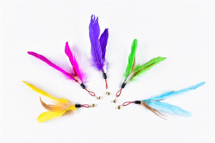 Tête de rechange directe pour grande baguette pour chat Teaser Feather_voghion.com
