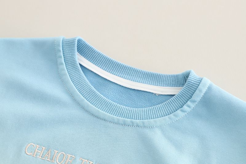 Abbigliamento per bambini primavera e autunno 2025, edizione coreana, felpa con cappuccio ricamata sfumata, jeans a maniche lunghe, set da due pezzi_voghion.com