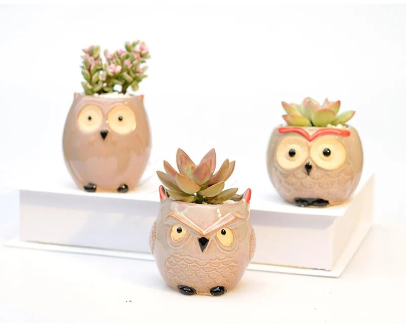 Owl Ceramic Planter 8cm - Mini Cactus Flower Pot Handmade Succulent Container With Drain Hole Gift_voghion.com