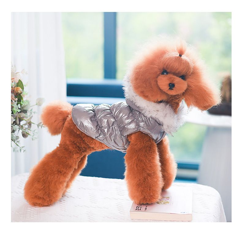 Nieuwe herfst- en huisdiervest kat winter katoenen hondenkleding_voghion.com