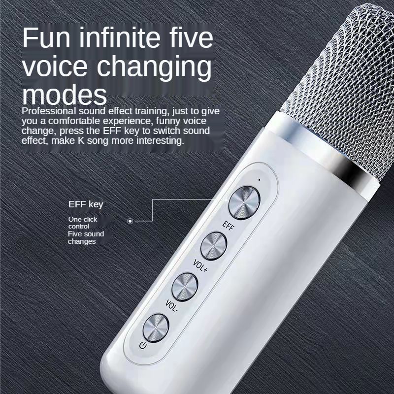 40W high power wireless dual microphone bluetooth speaker outdoor family party KTV subwoofer stereo music center column/TF card_voghion.com