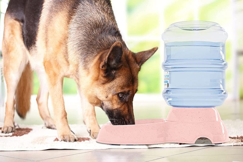 Pet Cat Large Capacity Automatic Plastic Feeder Food Dog Water Dispenser Pump_voghion.com