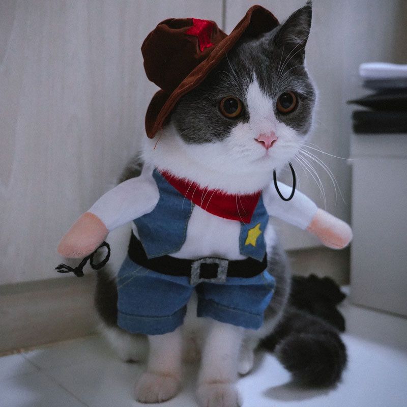 Spring And Autumn Pet Clothing Cute Funny Quirky Costume Hilarious Cat Dog Clothes Standing Transformation Outfit 3D_voghion.com