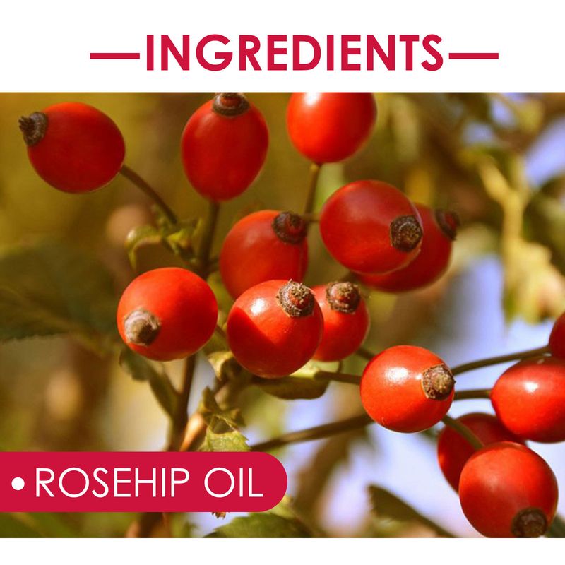 EELHOE Rose Fruit Ansiktsfuktande, Hudvård, Mjukgörande, Hårmassage eterisk olja_voghion.com