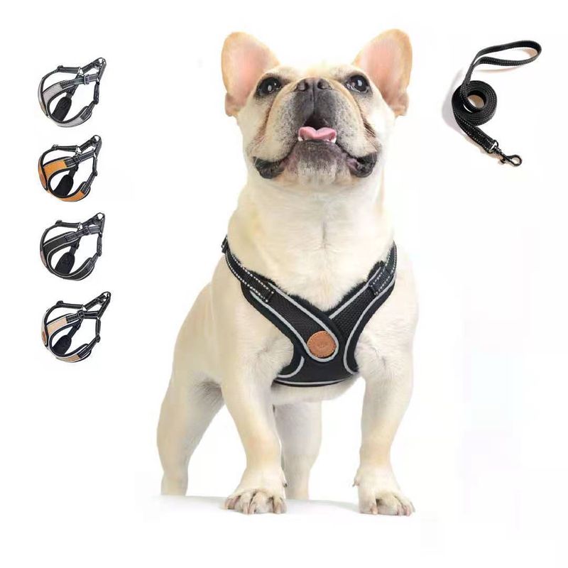 Pet Chest Harness Leash Set Walking Rope Cat Chain Dog Anti-Pull Adjustable_voghion.com