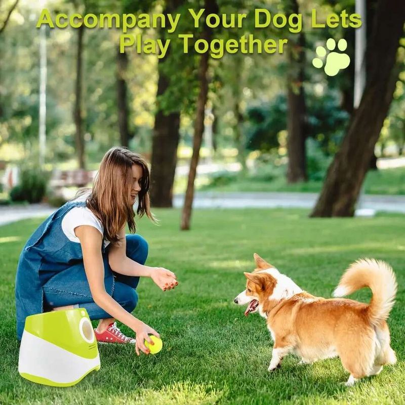 Lanzador automático de pelotas de tenis para perros de PawParty Store_voghion.com