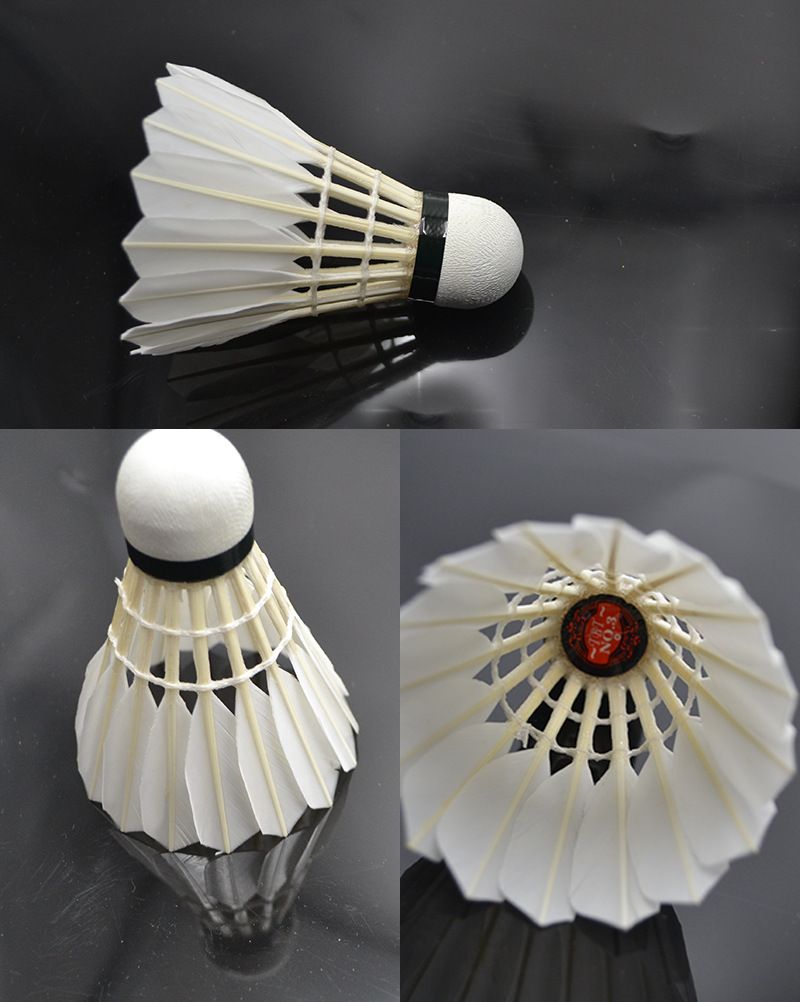 TBT Stable Flight Duurzame 12-Pack Wedstrijd Training Professionele Badminton 7776_voghion.com