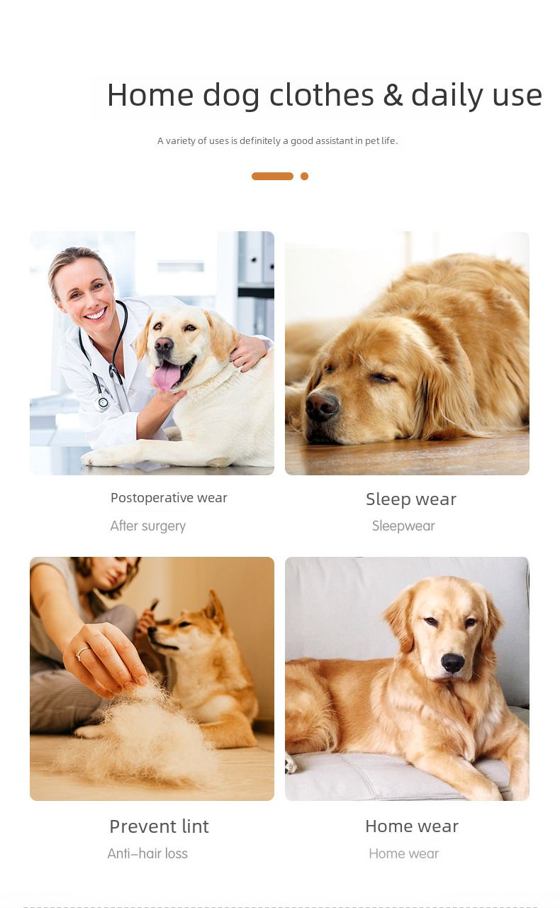 Vêtements pour gros chiens transfrontaliers Vêtements d'été tout compris résistants aux poils Vêtements à quatre pattes Vêtements de rééducation pour animaux de compagnie Vêtements pour chiens moyens et grands_voghion.com