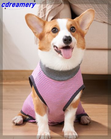 Katzen-Vampir-Halloween-Kostüm, Urlaubs-Verkleidung, Umhang mit Knopf für Kätzchen, kleine Hunde, mittelgroße Outfits, Cosplay-Dekoration, Party-Anzug_voghion.com