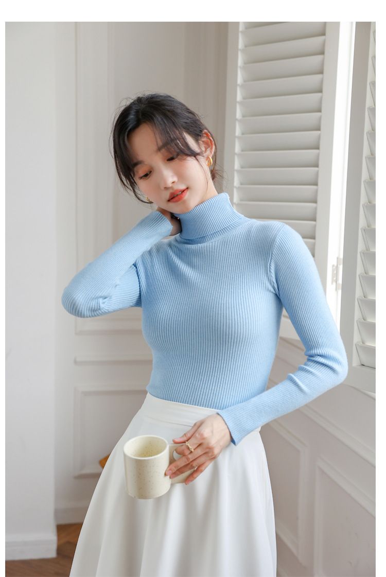 2024 New High Neck Sweater Women's Base Layer Autumn Winter Slim Fit Stylish Versatile Knitted Top_voghion.com