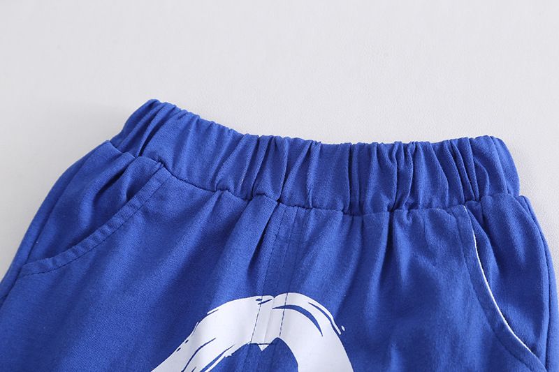 2024 Hot Selling Summer New Boys Matching Solid Color Letter Short Sleeve Shorts Two Piece Set_voghion.com