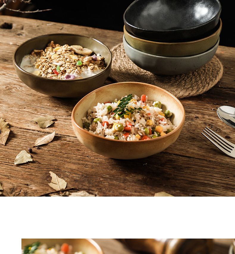 Ciotola per insalata in ceramica per dessert, piccola ciotola per noodles di riso creativa in stile giapponese, aspetto di alta qualità_voghion.com