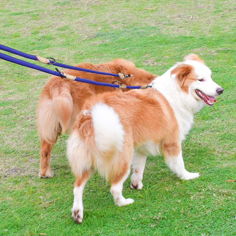 Altrapet Double Leash 210 Cm For Two Dogs By PawParty Store_voghion.com