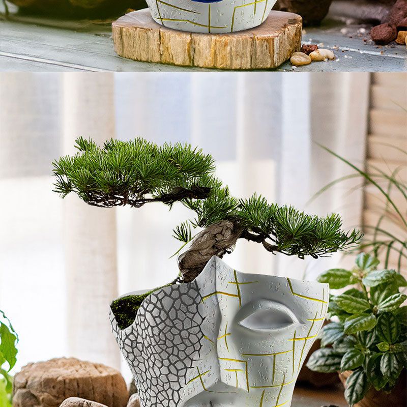 New Creative Face Crack Abstract Flower Pot Resin Craft Plant Container Home Garden Ornament_voghion.com