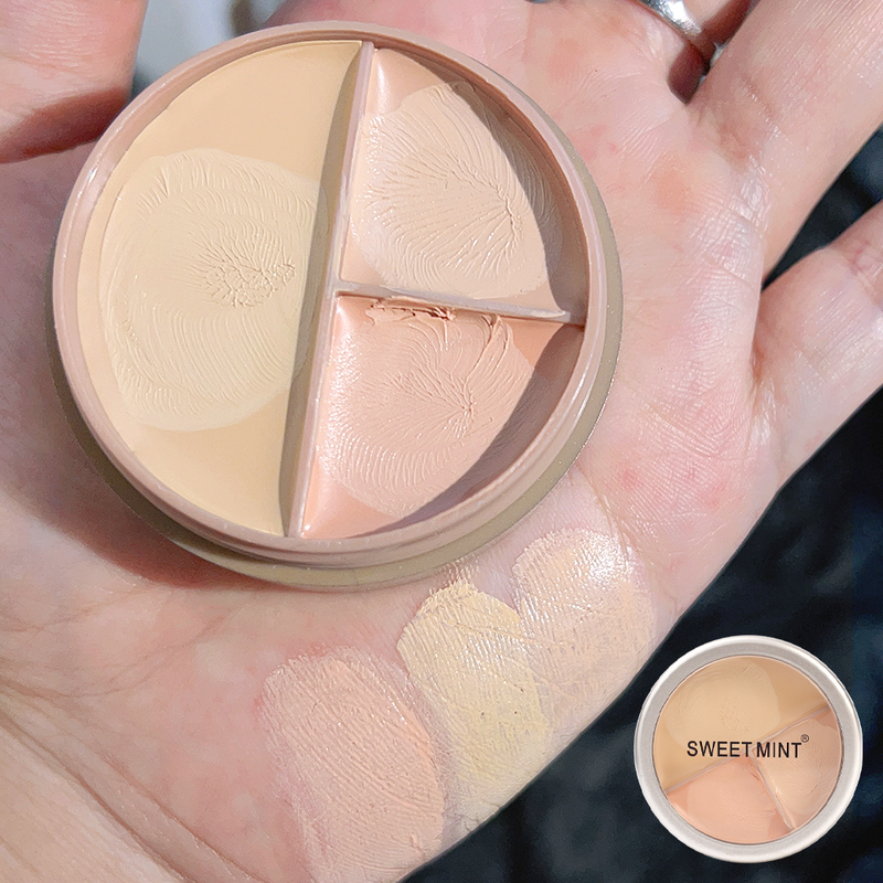 Concealer-Palette, wasserfeste Creme-Textur, deckt Akne-Markierungen, Augenringe, multifunktionales Make-up, langlebig, Bri ab_voghion.com