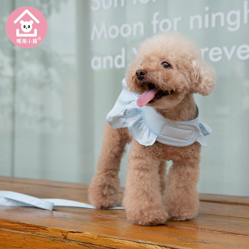 Weichong Town * Kanten jurk harnas riem hond kat vest kleding teddy benodigdheden_voghion.com