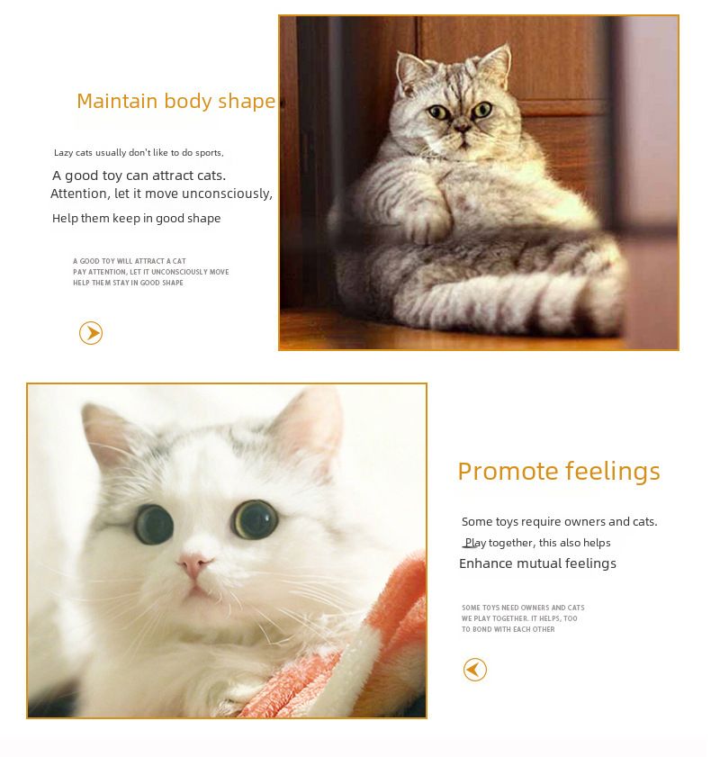 Huisdier Katten Speelgoed Bel Bal Veer Plagende Kat Stok Pluche Muis Veer Katten Tunnel 24 Stuks Set_voghion.com