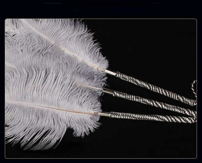 Frusta con piume per massaggio clitorideo, giocattoli per flirtare, bondage per adulti, giocattoli per coppie, sex shop_voghion.com