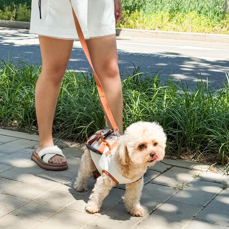 HuanChong Outdoor Portable Pet Leash Medium And Large Vest Type Explosion-Proof Chest Harness Outgoing Dog Walking Rope_voghion.com