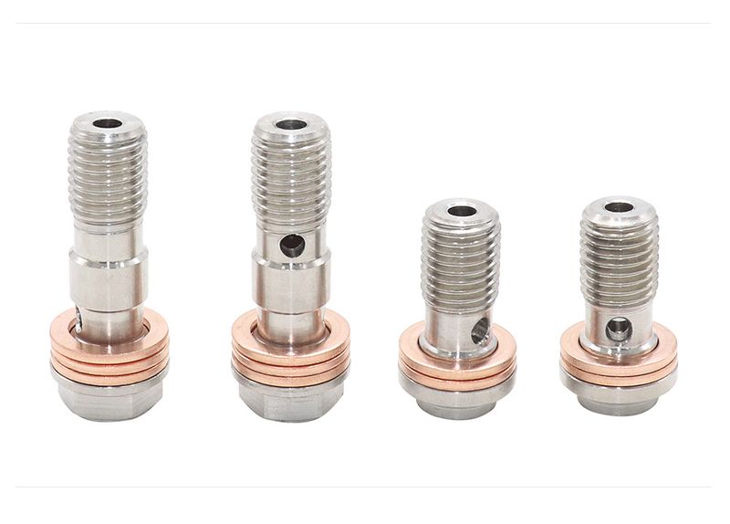 Universal 304 Stainless Steel Motorcycle Brake Caliper Banjo Bolt Bleed Screw Nipple M10X1.0MM/1.25MM For Honda Yamaha_voghion.com