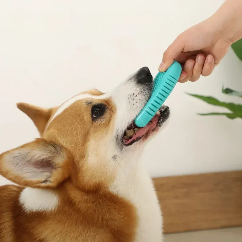 Hausdéierhond Leckage Ball Zännknëscher Hausdéierhond Spillsaach Bëssbeständeg Zännreinigung Linderung Langweil Training Solitär Selbst Spaass Spillsaach_voghion.com