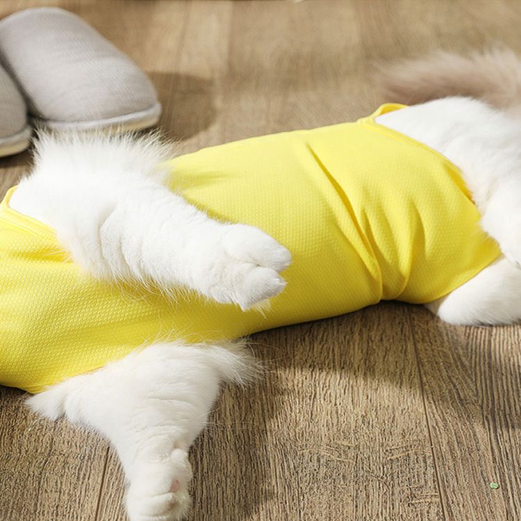 Tuta post-operatoria anti-leccamento anti-ferita per gatti femmine, elastica estiva per animali domestici_voghion.com