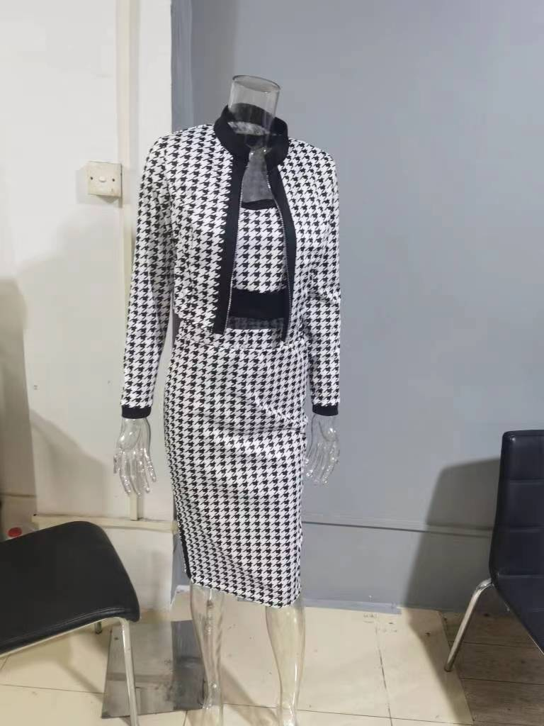 Giacca da donna a maniche lunghe stampata, fresca e dolce, alla moda, primaverile e autunnale, con gilet e gonna in tre pezzi_voghion.com