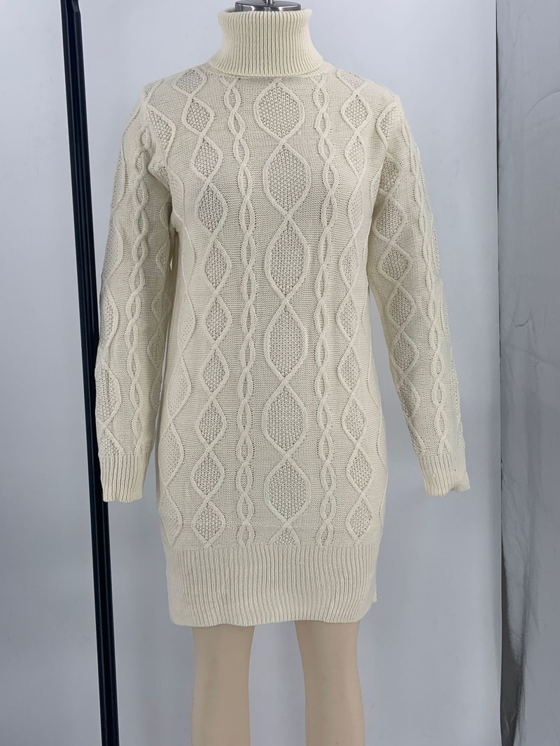 Women's Clothing new high collar slim long autumn and winter warm sweater women's dress_voghion.com