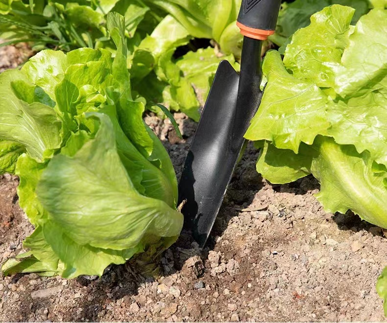 Gartenarbeit, Anpflanzen von Blumen und Gemüse, Haushaltsgerät, Schaufel zum Umgraben von Erde im Freien, für Sukkulenten, Eisen_voghion.com