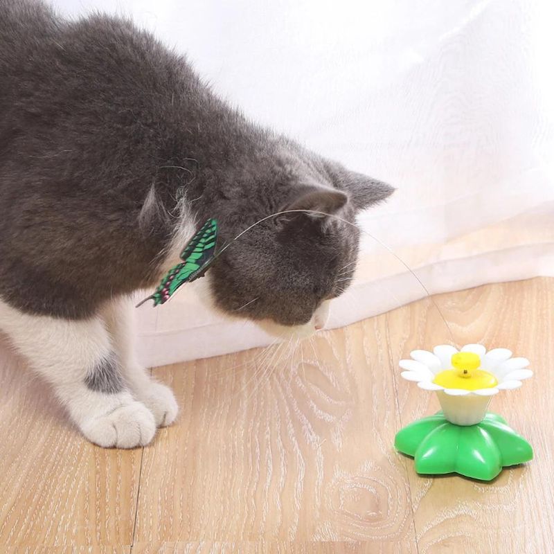 New Rotating Electric Butterfly, Hummingbird And Bee Pet New Product Rotating Around Flowers To Cats And Butterflies Pet Toys_voghion.com