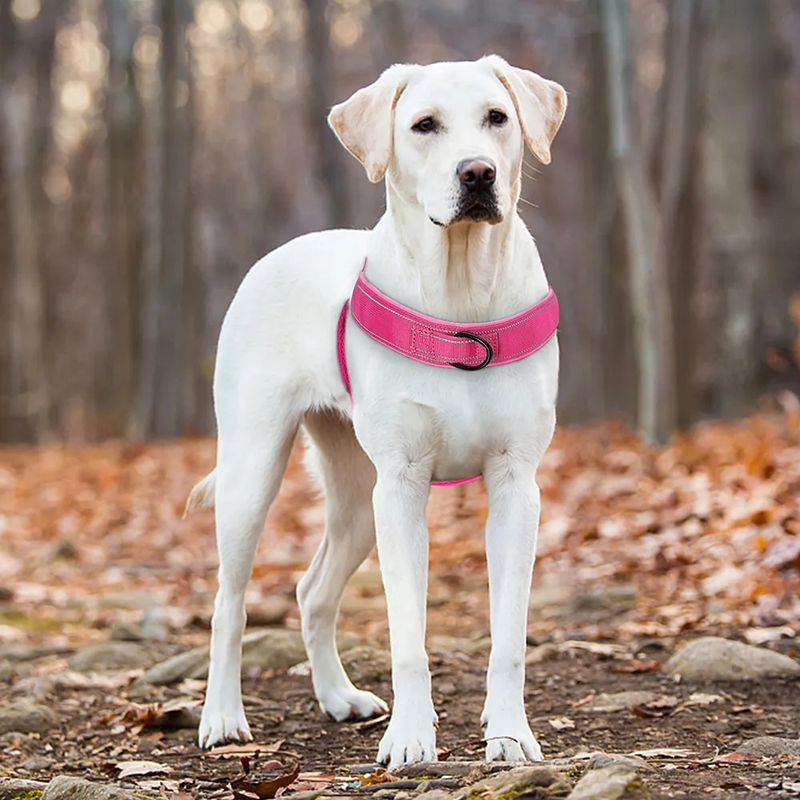 Arnês de treinamento refletivo de nylon durável sem puxar para animais de estimação com alça para cães pequenos, médios e grandes, pastor alemão_voghion.com