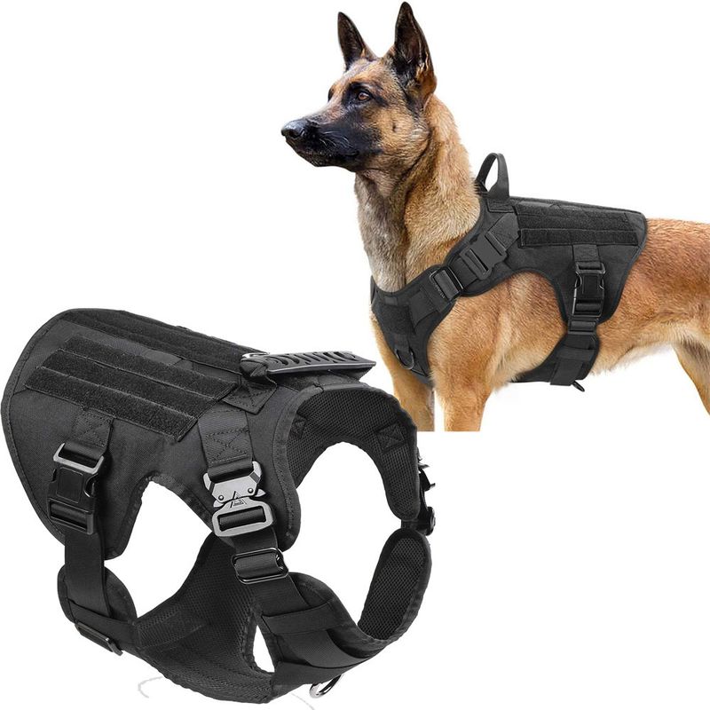 Gilet tattico antideflagrante Rush per addestramento cani di taglia media e grande_voghion.com