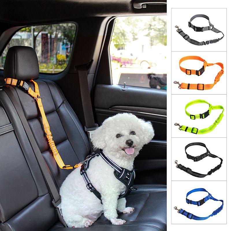 Car Safety High Elasticity Retractable Reflective Dog Walking Leash Pet Supplies_voghion.com