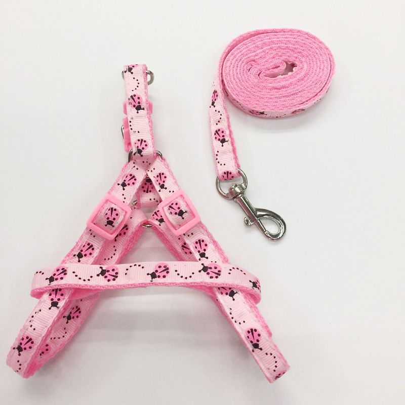 Hot Selling Walking Artifact Teddy Print Dog Rope Anti-Escape Cat Leash Pet Supplies_voghion.com