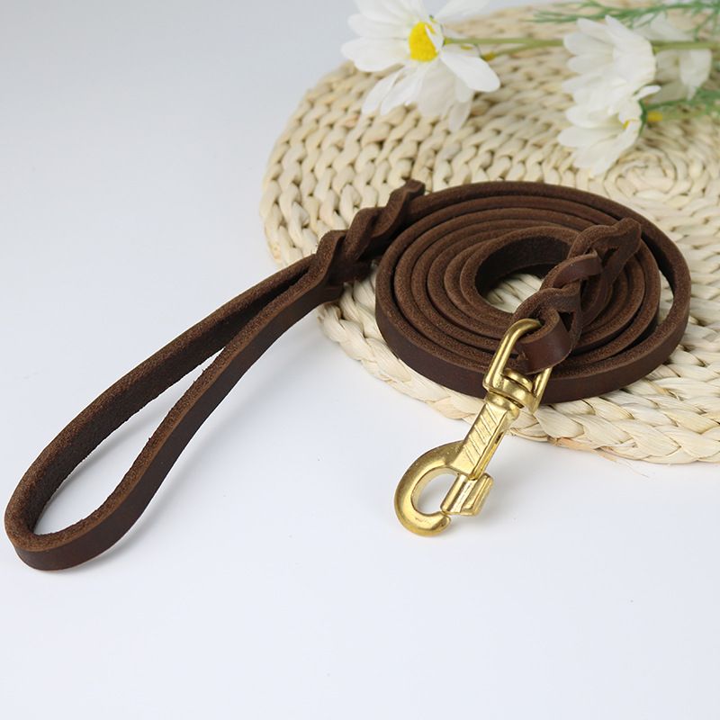 Kupferhaken-Haustier für mittelgroße und große Hunde, Golden Retriever-Hundeleine aus weichem Leder_voghion.com