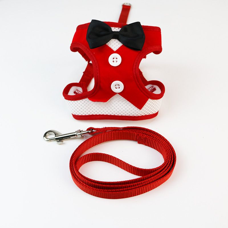 Hundeweste im Stil für Teddy Bichon Kleine Hunde Katzen Kaninchen Laufleine Heimtierbedarf_voghion.com